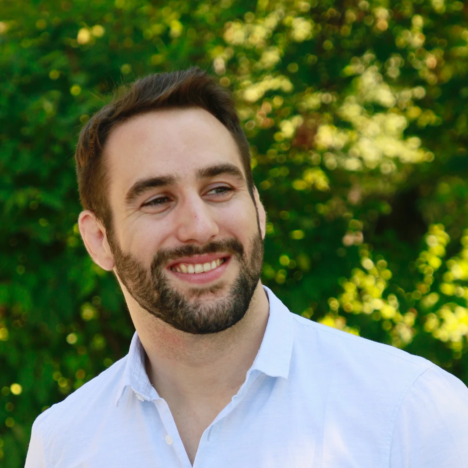 Dominik Stiftinger-Lang